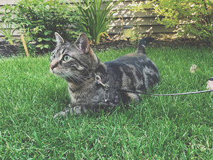 Meet your Posher, Alexandra